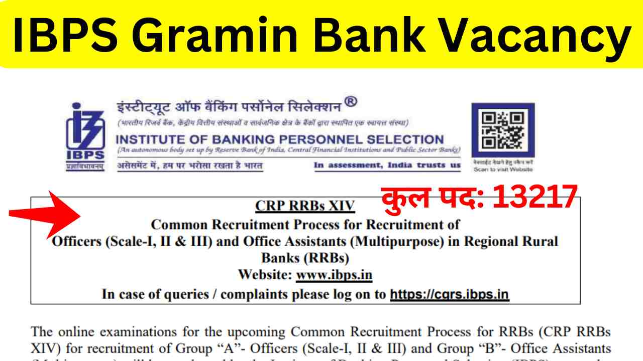 IBPS Gramin Bank Vacancy