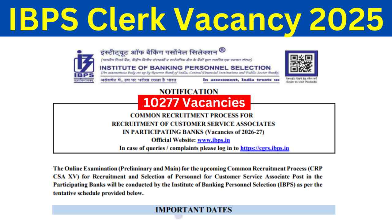 IBPS Clerk Vacancy
